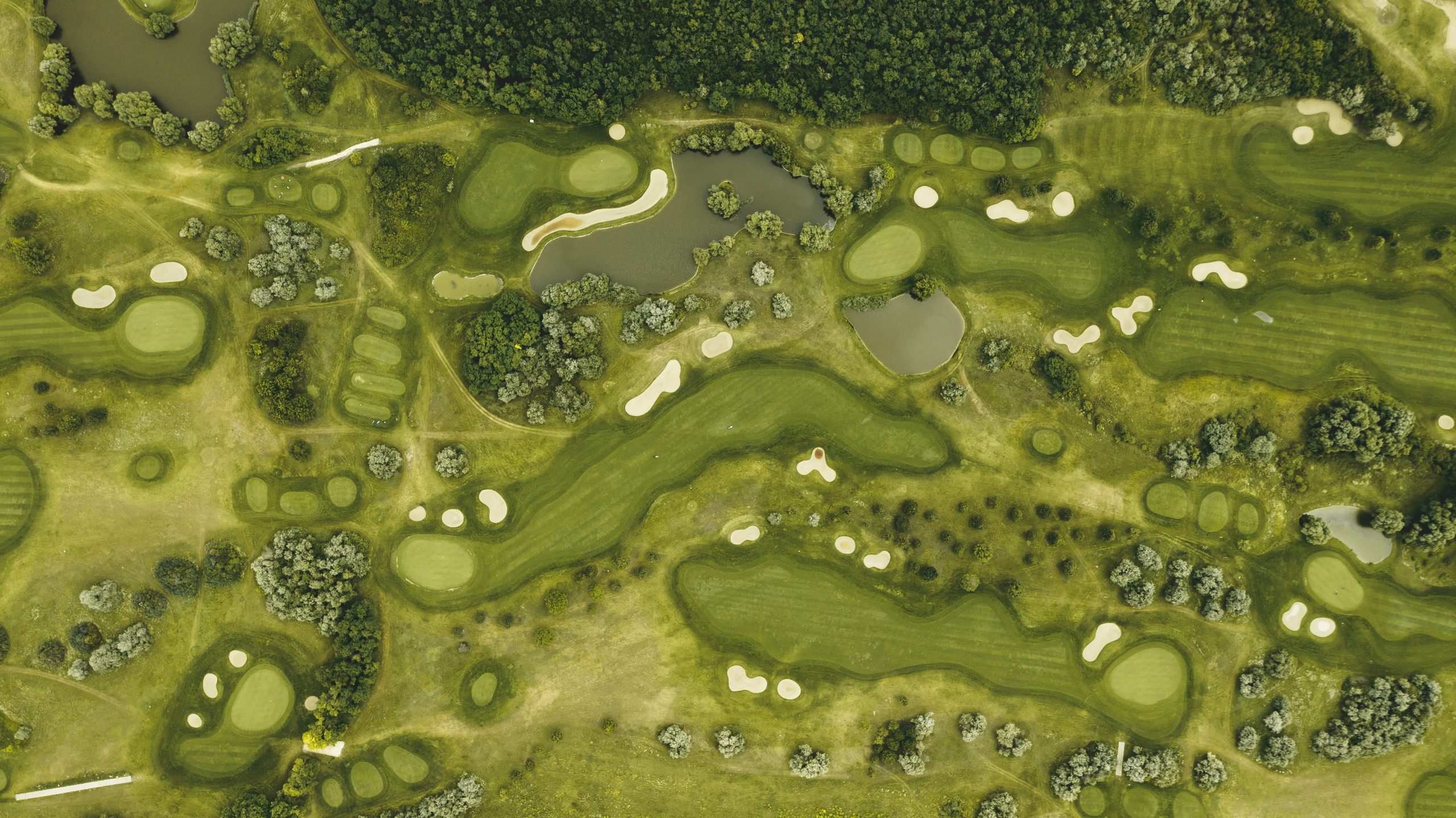 How to Find the Best Custom Golf Cart Accessories?
